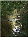 The River Loxley near Riverdale