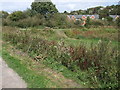 Lewes Railway Land LNR