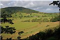 Valley of Thackthwaite Beck