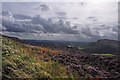 Blackshaw Moor from Ramshaw Rocks