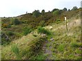 Path up Hill House Brink, Mytholmroyd