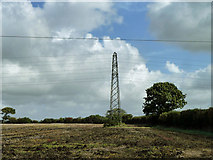 TQ5009 : Pylon and tree by Robin Webster