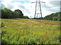 Power lines northeast of Dunley Farm 