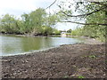 Low water level, Mere Pool