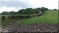 A muddy field near Cowie