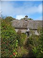 Doorway to Higher Uppacott longhouse