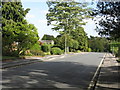 SP1774 : Dorridge Road, Dorridge by Peter Whatley