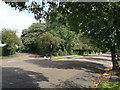 Road junction on Blackheath Park