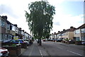 Trees, Grove Park Rd