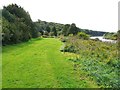NZ0863 : Tyne Riverside Country Park west of Ovingham Bridge by Andrew Curtis