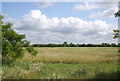TQ5284 : Grassland, Hornchurch Country Park by N Chadwick