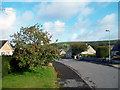 Battle Mead, Corfe Castle