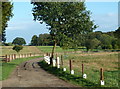 Letton Hall driveway