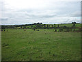 Footpath through pastures to Old Tebay