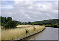 Staffordshire and Worcestershire Canal near Milford, Staffordshire