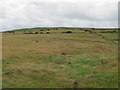 Grazing land on the northern flank of Slieve Roe