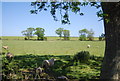 Farmland by Station Rd