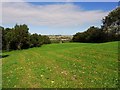 NZ0863 : Meadow east of Eltringham Wood by Andrew Curtis