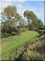 NZ0468 : The north defensive ditch of Hadrian's Wall east of Vallum Farm by Mike Quinn