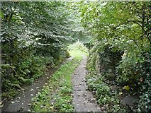 SE0922 : Cow Lane, Skircoat by Humphrey Bolton