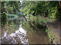 Staffordshire and Worcestershire Canal south-east of Stafford