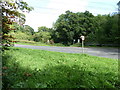 Country lane off the A286 at Cook