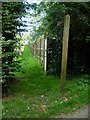 Footpath off Shophouse Lane in Farley Green