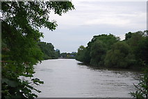 TQ1675 : River Thames at Isleworth Ait by N Chadwick