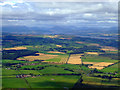 Linwood Moss from the air