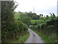 Looking down towards Cwm