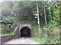 Northern entrance to tunnel under dismantled railway, Bedwas