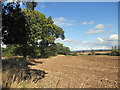 View towards Cannock Chase