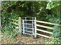 Kissing gate to County Hall, Croesyceiliog