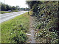 Track along the west side of the Croesyceiliog Bypass