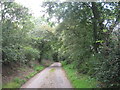 Jinny Lane, near Timsbury