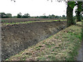 Ditch by Rookery Farm, Chippenhall Green