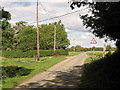 Lane traversing Chippenhall Green