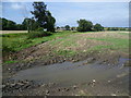 Field alongside Norwood Lane