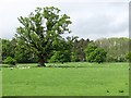 The Park, Gargunnock House