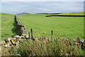 SD9543 : Fields by Hill End Lane by Bill Boaden