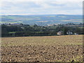 Farmland south of Harlow Hill