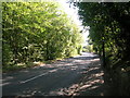 Church Field Road towards Askern