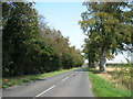 SE5318 : Churchfield Lane towards Womersley by JThomas