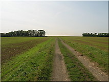 SE5018 : Farm track, Stapleton Park by JThomas