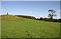 A pasture field at Queen