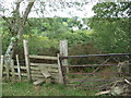 Stile and gate overlooking part of Nanternis village