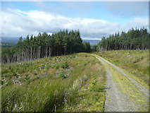 NN5953 : Forest track in Rannoch Forest by Russel Wills