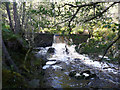 Weir on Dall Burn