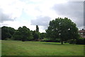 Trees by the River Ingrebourne