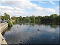 Eagle Pond from Snaresbrook Road